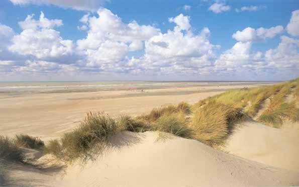 Appartement Proche Mer Berck Exterior photo
